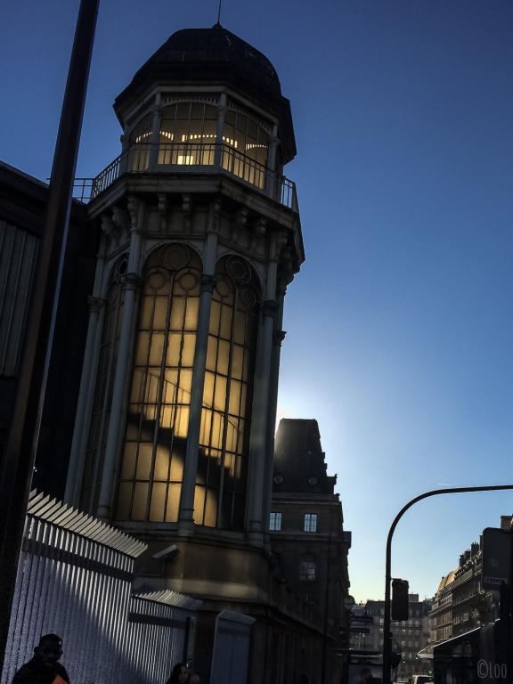 IMG_1567-1 IMG_1567-1