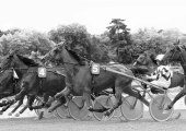 17_D02A9788_BENOIST