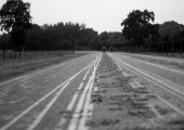 19_D02A8973-BENOIST