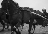 8_D02A8971-BENOIST