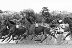 17_D02A9788_BENOIST